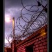 Razor wire